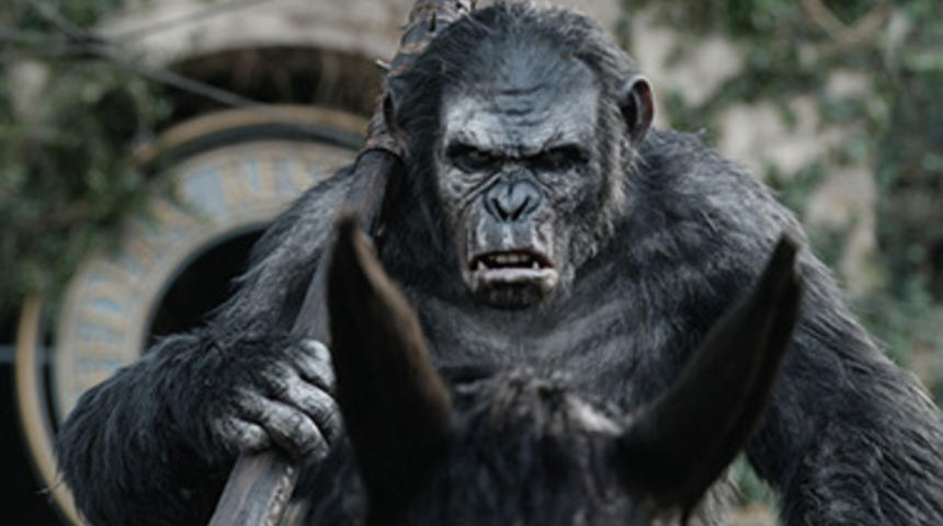 Box-office nord-américain : Dawn of the Planet of the Apes toujours en tête