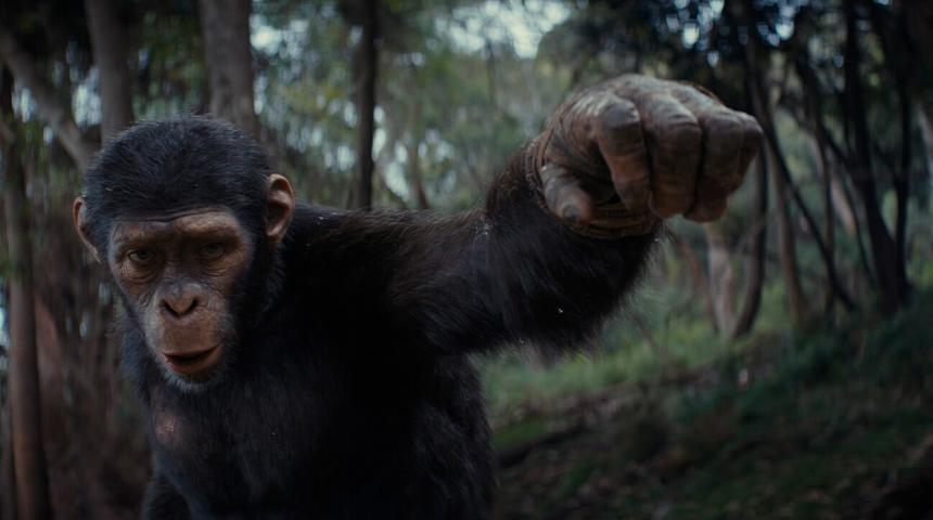 Box-office québécois : Le règne de la planète des singes